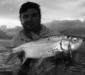 Tarpon are a great sportfish for tropical anglers.